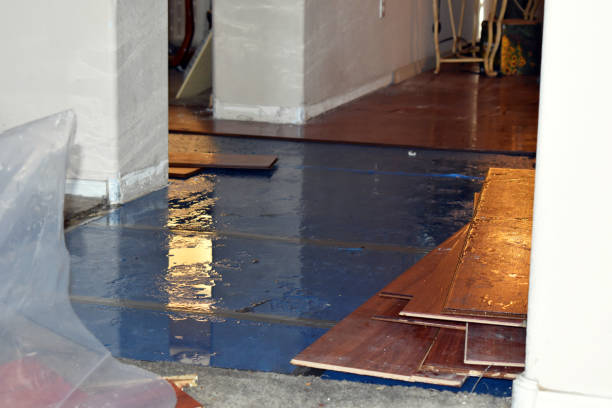 Professional Water Extraction technician working in Harborside, ME